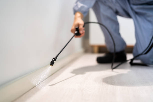 Licensed Wasp Removal service in Warner Robins, GA - Show Me Pest Control
