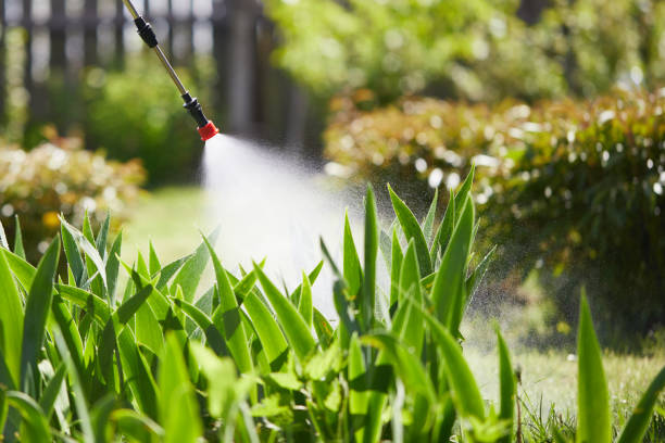 24/7 Emergency Wasp Removal experts in Warner Robins, GA