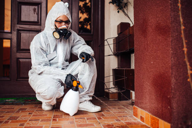 Reliable Wasp Removal contractor in Warner Robins, GA by Show Me Pest Control