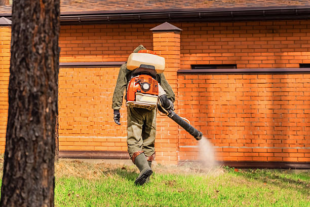 Top rated local Wasp Removal specialists in Warner Robins, GA